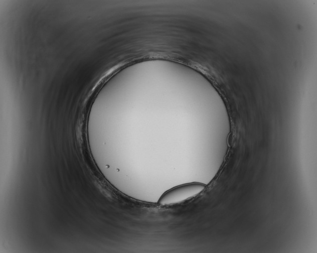 X0000083550098200703021702