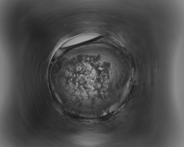 X0000083550099200703021702