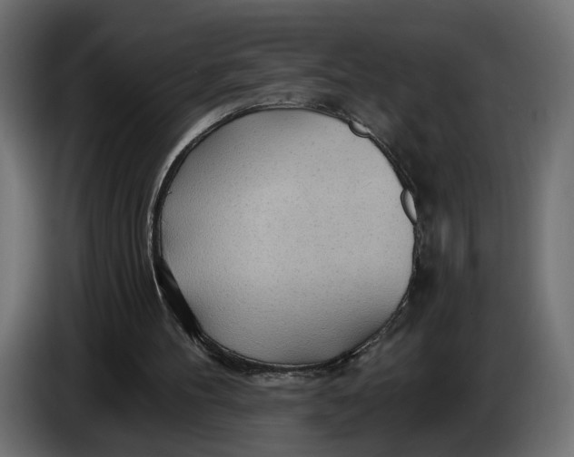 X0000083550100200703021702