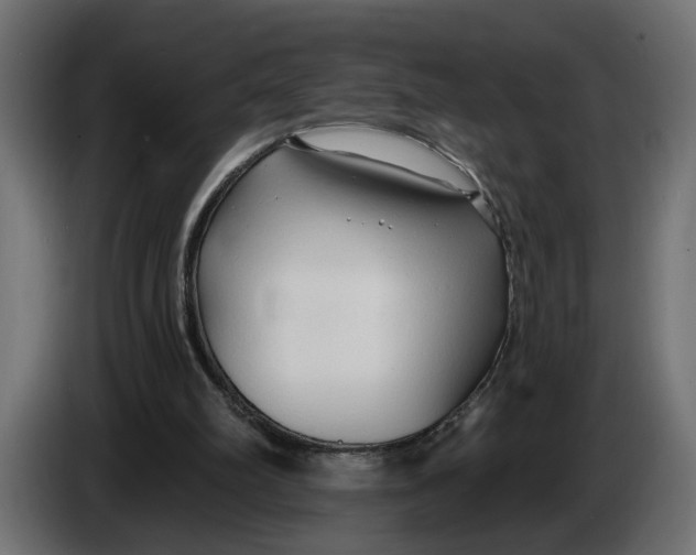 X0000083550102200703021702