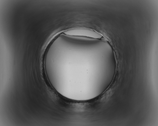 X0000083550103200703021702