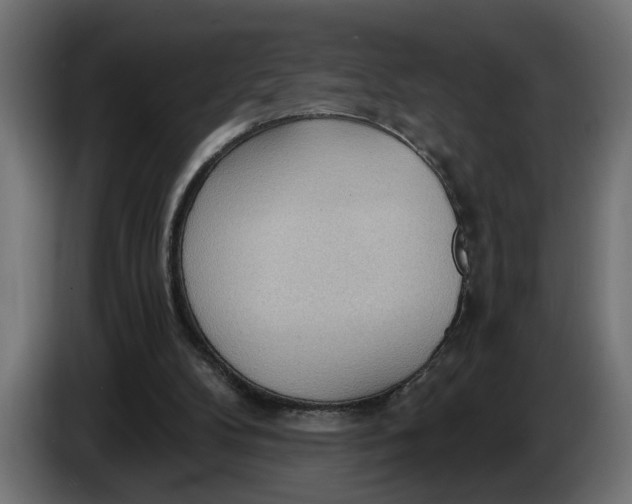 X0000083550104200703021702