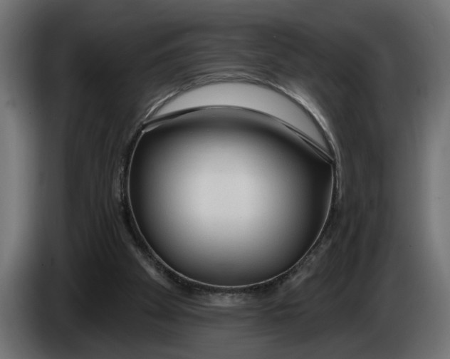 X0000083550105200703021702