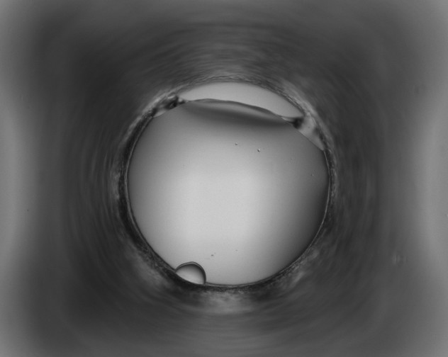 X0000083550106200703021702