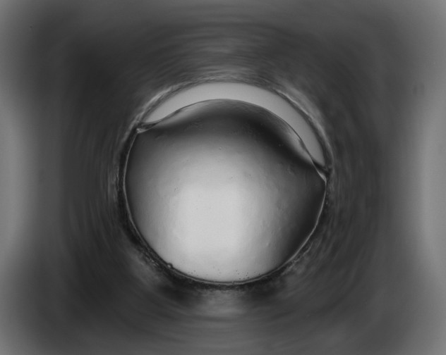 X0000083550107200703021702