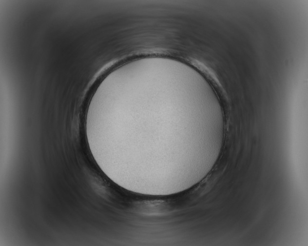 X0000083550108200703021702