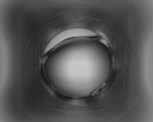 X0000083550109200703021702