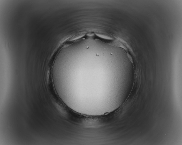 X0000083550110200703021702
