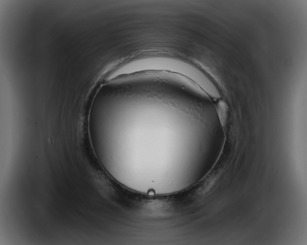 X0000083550111200703021702