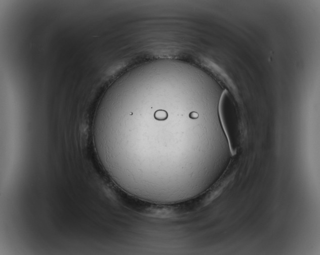 X0000083550113200703021702
