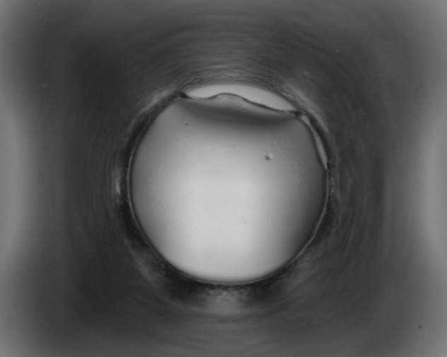 X0000083550115200703021702