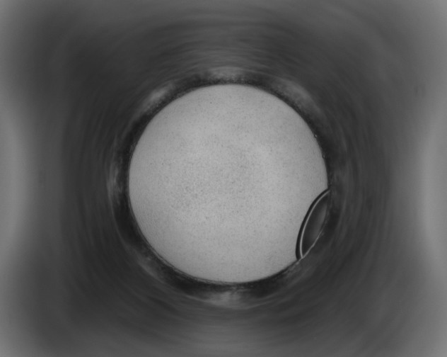 X0000083550116200703021702