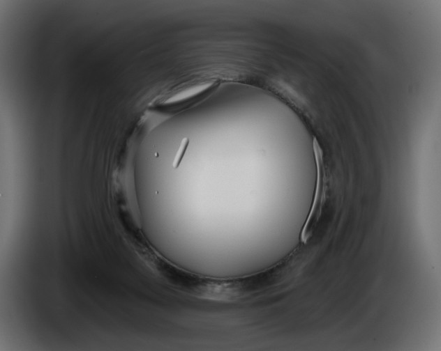 X0000083550117200703021701