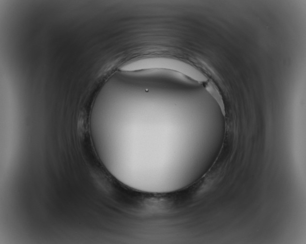 X0000083550119200703021701