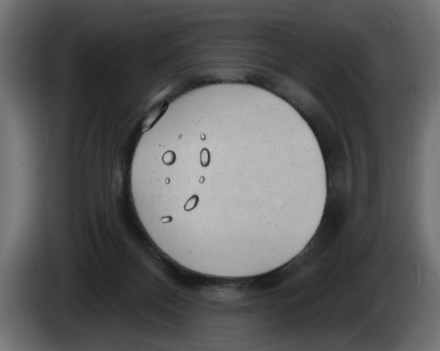 X0000083550120200703021701