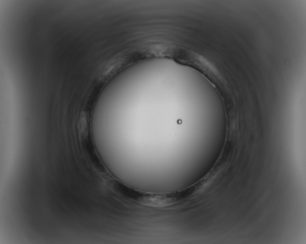 X0000083550121200703021701
