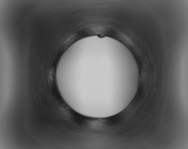 X0000083550122200703021701
