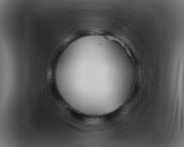 X0000083550123200703021701