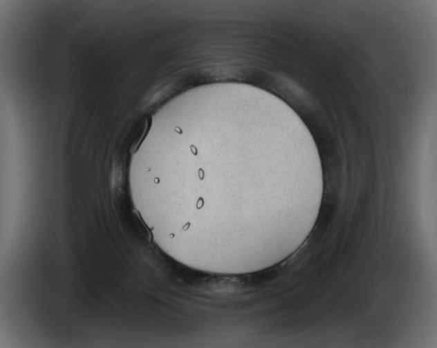 X0000083550124200703021701