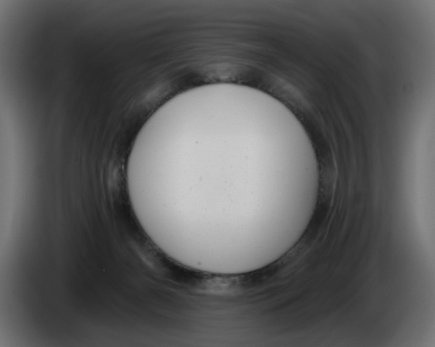 X0000083550126200703021701