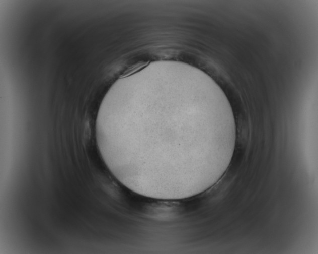 X0000083550128200703021701