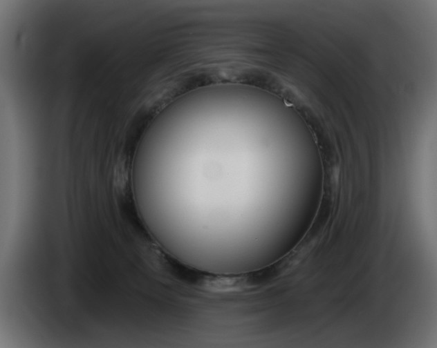 X0000083550129200703021701