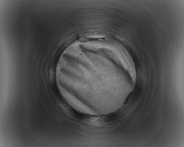X0000083550130200703021701