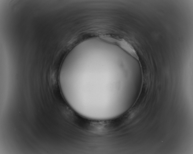 X0000083550131200703021701