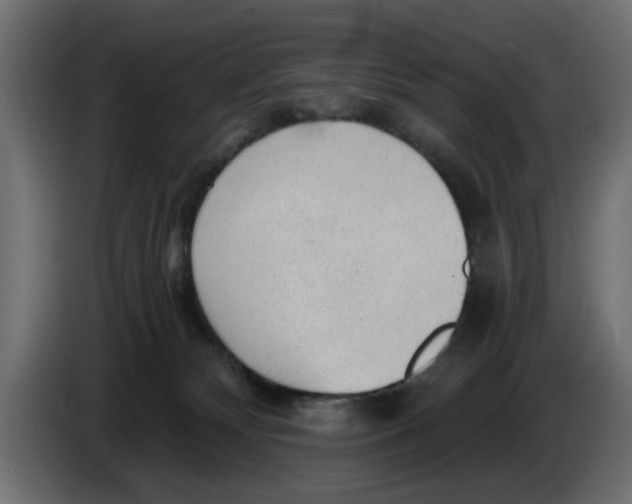 X0000083550132200703021701