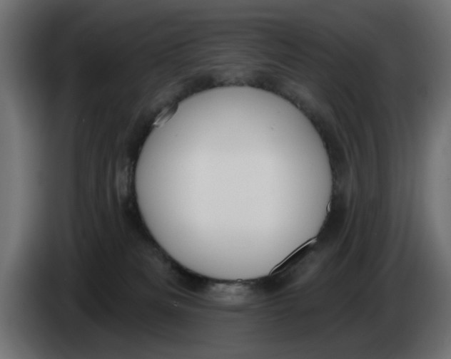 X0000083550133200703021701