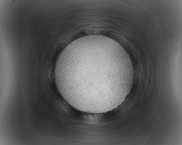X0000083550134200703021701