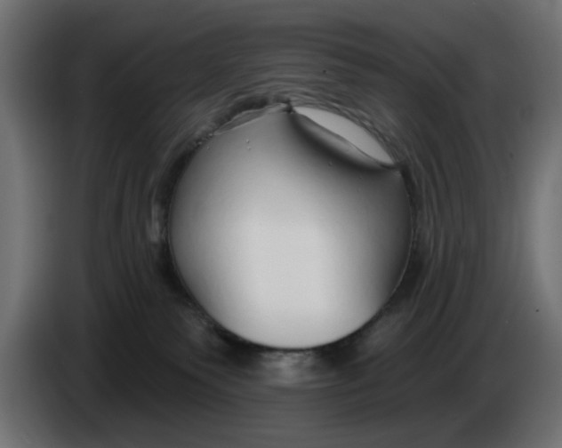 X0000083550135200703021701
