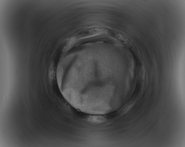 X0000083550137200703021701