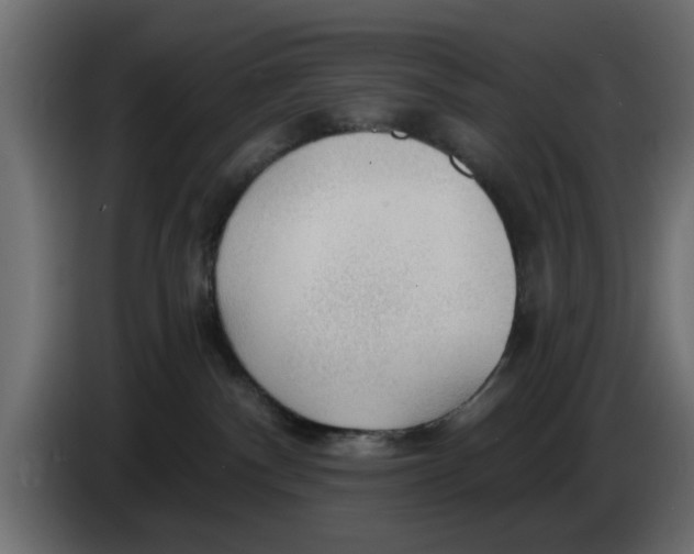 X0000083550140200703021701