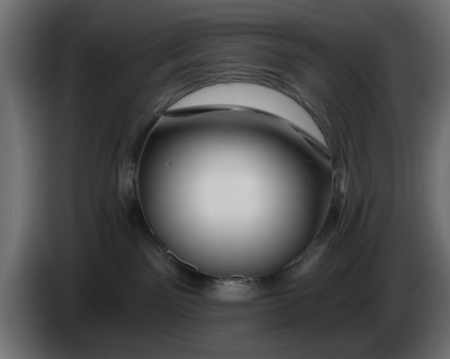 X0000083550141200703021701