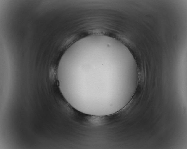 X0000083550142200703021701