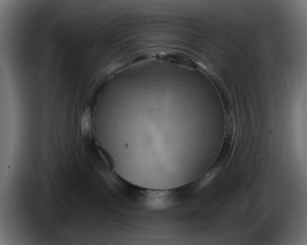 X0000083550143200703021701