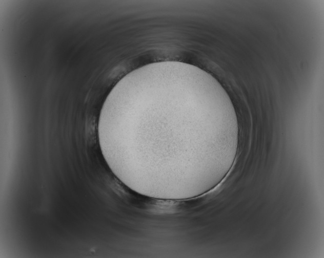 X0000083550144200703021701
