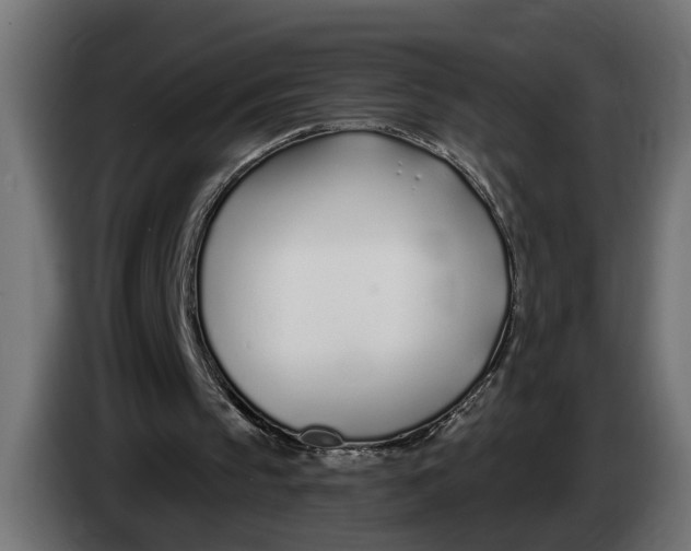 X0000083550145200703021700