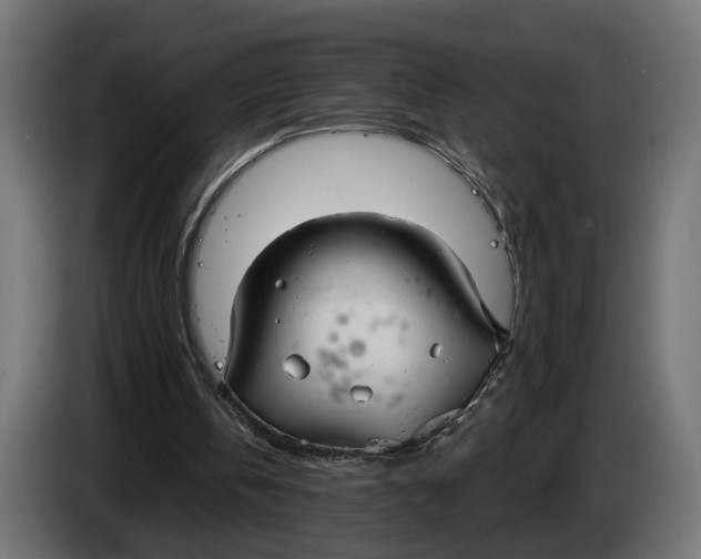 X0000083550146200703021700