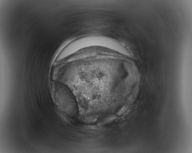 X0000083550147200703021700