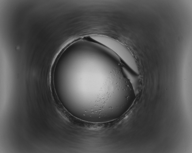 X0000083550148200703021700