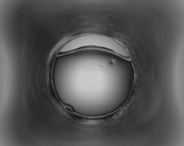 X0000083550149200703021700