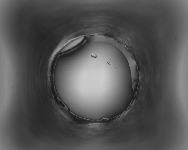 X0000083550150200703021700