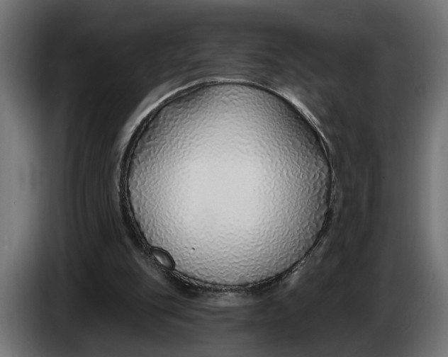 X0000083550151200703021700