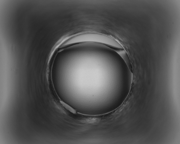 X0000083550152200703021700