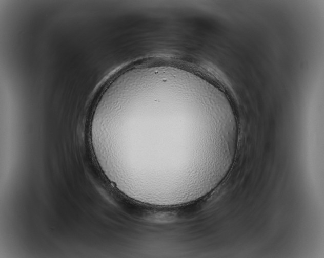 X0000083550155200703021700