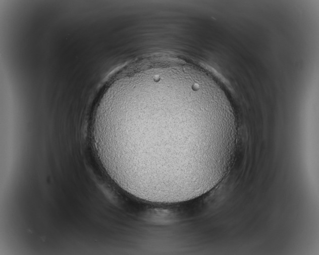 X0000083550159200703021700