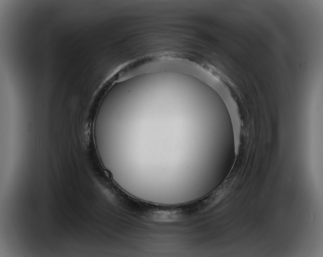X0000083550160200703021700