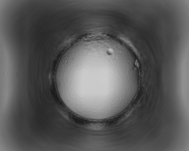 X0000083550161200703021700
